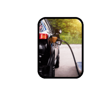¿Qué gasolina usar?