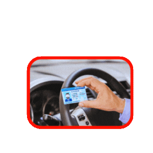 Licencia